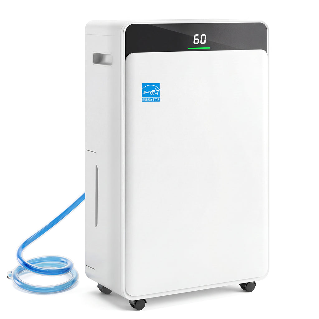 Dehumidifier