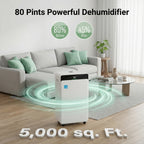 Dehumidifier