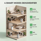 Dehumidifier
